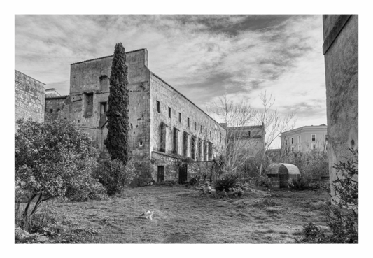 Black and white photograph of an old stone building with a garden in the foreground. Monochrome fine art photo emphasizing the repetitive elements and precise geometry of a European classical building facade.