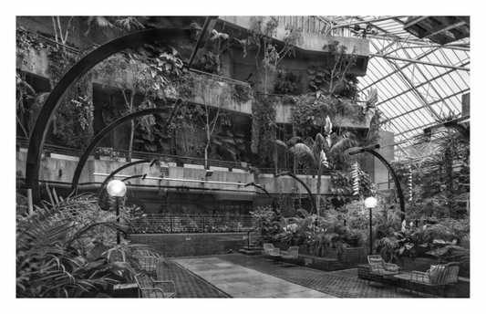 Large indoor garden with plants and architectural elements, Monochrome print of the interior of the Barbican Conservatory in London, where dense foliage meets geometric concrete structures.