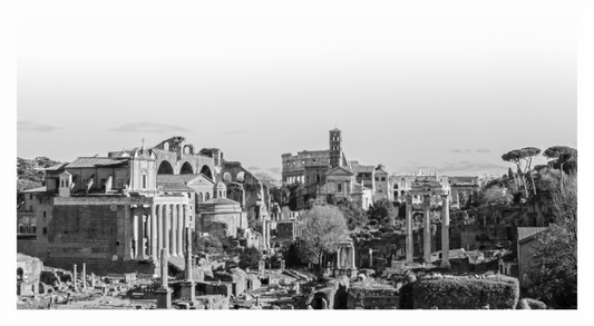 Black and white image of ancient Roman ruins with trees and buildings in the background, Monochrome landscape photograph capturing the wide expanse and iconic ruins of the Roman Forum.